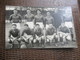 PHOTO SPORT EQUIPE DE FOOTBALL 13x8 Cm Fc Metz 1946 1947 - Sport