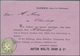 Br Deutsches Reich - Brustschild: 1872, Viollette Vertreter-Besuchskarte Frankiert Mit 1/3 Groschen Gro - Neufs