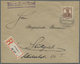 Br Deutsches Reich - Inflation: 1919, 35 Pf Zimtfarben, Portogerechte Einzelfrankatur Mit Sonderstempel - Lettres & Documents