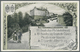 Delcampe - GA Deutsches Reich - Privatganzsachen: 1908, Lot Von 10 Privat-Postkarten 3 Pf Germania "XX. Dt. Philat - Andere & Zonder Classificatie