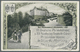 Delcampe - GA Deutsches Reich - Privatganzsachen: 1908, Lot Von 10 Privat-Postkarten 3 Pf Germania "XX. Dt. Philat - Andere & Zonder Classificatie