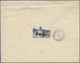 GA Deutsche Post In China - Besonderheiten: 1906, Incoming Mail Bayern 20 Pf Blau Centenarfeier-Ganzsac - Chine (bureaux)