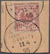 Brfst Deutsche Kolonien - Kamerun-Vorläufer: 1895: 10 Pfg Mittel(karmin)rot Auf Postanweisungsausschnitt M - Cameroun