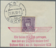 Delcampe - Brfst Sudetenland - Asch: 1938, Stempel "ASCH 19.10.38 Wir Sind Frei" Auf Doppelstück 6 Pfg. Hindenburg (o - Sudetenland