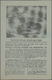 Delcampe - Feldpost 2. Weltkrieg: Flugblätter, Ostfront, 1942: UdSSR-Propaganda "Frontnachtrichten" Nr. 94, Nr. - Andere & Zonder Classificatie