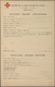 Delcampe - GA Kriegsgefangenen-Lagerpost: 1942/45, Japan Red Cross, Three Different "red Cross Message" Forms: Bil - Autres & Non Classés
