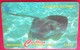 Cayman Islands 94CCIE Stringray CI$10 - Iles Cayman