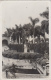 Etats-Unis - Sarasota FL - Ringling Art Museum - 1949 - Sarasota