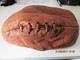 RUGBY - UNE Rare BALLE DE RUGBY Le Numéro 4 - C/1900's D'UN CUIR Chamois - Rare BALL OF RUGBY - Colored LEATHER - Rugby