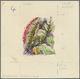 Thematik: Flora, Botanik / Flora, Botany, Bloom: 1974, Guinea, NATIVE FLOWERS, Final Drawing For Nomination 7.50S. "Comb - Other & Unclassified