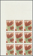 ** Thematik: Flora, Botanik / Flora, Botany, Bloom: 1988, NICARAGUA: Flowers And Plants Complete Set Of Eight Values In  - Other & Unclassified