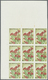 ** Thematik: Flora, Botanik / Flora, Botany, Bloom: 1988, NICARAGUA: Flowers And Plants Complete Set Of Eight Values In  - Autres & Non Classés