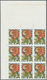 Delcampe - ** Thematik: Flora, Botanik / Flora, Botany, Bloom: 1988, NICARAGUA: Flowers And Plants Complete Set Of Eight Values In  - Autres & Non Classés