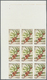 Delcampe - ** Thematik: Flora, Botanik / Flora, Botany, Bloom: 1988, NICARAGUA: Flowers And Plants Complete Set Of Eight Values In  - Other & Unclassified