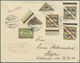 Br Estland: 1923, 5 M. Flugpostmarken 'Doppeldecker', Zwei Komplette Serien Auf R-Brief Ab Tallin Nach Riga, Gute - Estonie