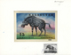 Delcampe - Thematik: Tiere, Fauna / Animals, Fauna: 1994, Kazakhstan. Set Of 7 Artworks For The Stamps And The Souvenir Sheet Of Th - Other & Unclassified