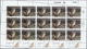 ** Thematik: Tiere-Eulen / Animals-owls: 1987, Israel. Complete Miniature Sheet Of 15 For The 40a Value OTUS BRUCEL Of T - Owls