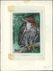 Delcampe - Thematik: Tiere-Greifvögel / Animals-birds Of Prey: 1994, Tanzania. Set Of 8 Artworks For The Stamps And The Souvenir Sh - Eagles & Birds Of Prey