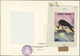 Delcampe - Thematik: Tiere-Greifvögel / Animals-birds Of Prey: 1995, Kyrgyzstan. Set Of 7 Artworks For The Stamps Of The Complete R - Eagles & Birds Of Prey
