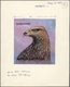 Thematik: Tiere-Greifvögel / Animals-birds Of Prey: 1995, Kyrgyzstan. Artwork For A FDC Cover Of The RAPTOR Series Showi - Eagles & Birds Of Prey