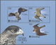 ** Thematik: Tiere-Greifvögel / Animals-birds Of Prey: 2000, GIBRALTAR: Birds Of Prey II Miniature Sheet With MISSING PE - Eagles & Birds Of Prey