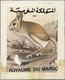 Thematik: Tiere-Nagetiere / Animals-rodents: 1984, Marokko, 1.40 Dh. Wüstenspringmaus (Jaculus Jaculus) Künstlerentwurf - Rodents