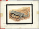 Delcampe - Thematik: Tiere-Reptilien / Animals-reptiles: 1995/1996, Kyrgyzstan. Set Of 8 Artworks For Stamps Of The Complete Reptil - Other & Unclassified