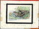 Delcampe - Thematik: Tiere-Reptilien / Animals-reptiles: 1995/1996, Kyrgyzstan. Set Of 8 Artworks For Stamps Of The Complete Reptil - Other & Unclassified