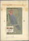 Thematik: Tiere-Vögel / Animals-birds: 1968, Oman (Propaganda). Artist's Drawing For A 10B Stamp (Nature Series) Showing - Other & Unclassified