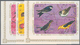 ** Thematik: Tiere-Vögel / Animals-birds: 1970/71, Burundi, Vögel Komplett In UNGEZÄHNTEN Eckrand-Viererblocks, Im Miche - Other & Unclassified