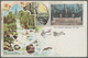 GA Thematik: Wasserfälle / Waterfalls: 1902 (ca), Dt. Reich. Privat-Postkarte 2 Pf Reichspost "Gruss Aus Berlin" Mit Rs. - Unclassified