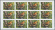 ** Thematik: WWF: 1989, Birds/pomarea Dimidiata - 2 Items; Progressive Plate Proofs In Miniature Sheets (12 Stamps) For  - Autres & Non Classés