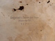 Delcampe - LIVRE JEAN MARCORELLE 1572 HUGUES SAMBIN ARCHITECTE LA DIVERSITE DES TERMES AU SEIGNEUR ELEONOR CHABOT - Before 18th Century