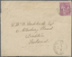 Br Tasmanien: 1895. Roughly Opend Envelope Addressed To Dublin, Ireland Bearing SG 217, 2½d Purple Tied By '109' Obliter - Covers & Documents