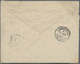 Br Tasmanien: 1895. Roughly Opend Envelope Addressed To Dublin, Ireland Bearing SG 217, 2½d Purple Tied By '109' Obliter - Covers & Documents