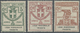 * Italien - Portofreiheitsmarken: 1924, LEGA NAZIONALE TRIESTE Issue Three Values 5c. , 10c. And 30c. Brown, Min - Franchise