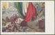 GA Italien - Ganzsachen: 1911, 9 Used/canceled All Different Stationery Cards "50 Aniversary Italian Kingdom" 5 C - Stamped Stationery