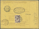 GA Italien - Ganzsachen: 1923/1926 Six Parcel Cards From Italy To Istanbul / Constantinople. Turkish Stamps On Th - Entiers Postaux