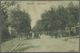 Br Italien - Besonderheiten: 1917. Picture Post Card Of 'The Viale Pisani, Grasseto' Addressed To France Endorsed - Unclassified