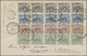 Br Französisch-Guyana: 1905, 1 To 5 Cent. Ant-eater Decorative Franking In Strips Of Five On Registered Letter From CAYE - Covers & Documents