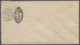 GA Hawaii - Ganzsachen: 1892, 2 C. Red Postal Stationery Envelope Tied By "KOHALA HAWAII MAR/22/1892" Cds., HONOLULU Arr - Hawaii