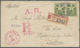 Br Hawaii - Stempel: 1895, 10c. Yellow Green Pair On Registered Cover Tied By Violet "HONOULIULI OA.HU." Cds., Rose "A.R - Hawaii