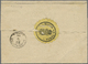 Br Ungarn: 1874, 10 K. Blue And 5 K. Rose Tied By Clear Cds. "DEVA 22.5.76" To Registered Telegram With Register - Lettres & Documents