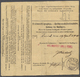 Br Ungarn: 1881: 20 K. Grau/schwarz, Klarer, Deutlich Versetzter Doppeldruck, Luxusstück Auf Feiner "Internationa - Lettres & Documents