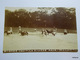 Hinche-La Rivière "Agua Mucho"-Carte Photo 1920 - Haiti