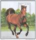 2325 Horses Fauna Animals Mammals 1995 Shr 6v+S/s Set MNH ** - Horses