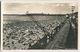 Berlin - Wannsee - Strandbad - Foto-Ansichtskarte 40er Jahre - Verlag Nettke Berlin - Wannsee