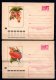 Delcampe - Russie Lot De 28 Entiers Postaux - 1960-69