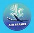 AIR FRANCE - Original Vintage Airline Luggage Label Around 1955's ( Blue Version ) * Mint Condition - Aufklebschilder Und Gepäckbeschriftung