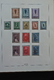 Delcampe - Belgien: 1849/1960: As Good As Complete, MNH, Mint Hinged And Used Collection Belgium 1849-1960 In 5 - Other & Unclassified